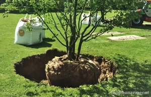Gartenarbeit, alles rund um den Garten