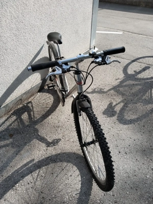 Mountainbike Bulls, Farbe Silber Jugend Fahrrad Bild 3