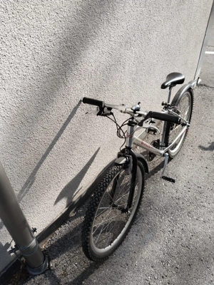 Mountainbike Bulls, Farbe Silber Jugend Fahrrad Bild 2