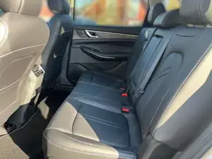 DFSK/DFM/FORTHING Fengon Bild 7