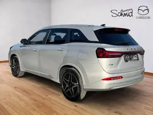 DFSK/DFM/FORTHING Fengon Bild 10