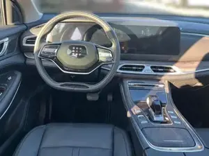 DFSK/DFM/FORTHING Fengon Bild 8