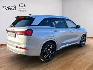 DFSK/DFM/FORTHING Fengon Bild 12