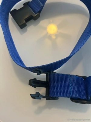 Gürtel blau unisex 100 cm Bild 3