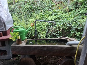 Ferienhütte "Am Waldrand zur Fee"ganzjährig zu vermieten Bild 19