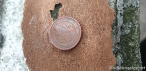 1 cent 2004 D deutschland  Bild 2