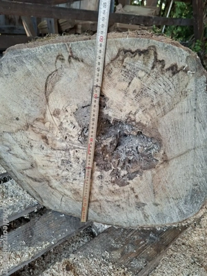 Baumstamm 50cm Buche Deko Möbel Basteln Drechselholz  Bild 3