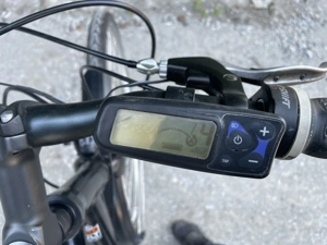 Landrad Nr. 361 E-Bike Bild 4