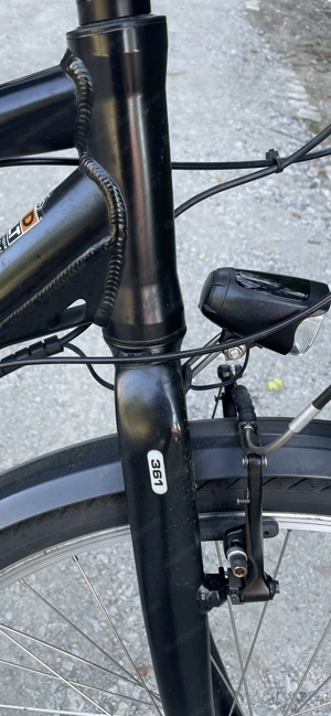 Landrad Nr. 361 E-Bike Bild 3