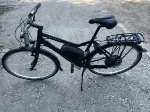 Landrad Nr. 361 E-Bike Bild 2