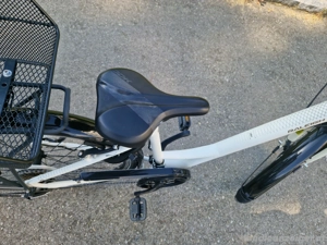 Raileigh Chester Citybike Bild 3