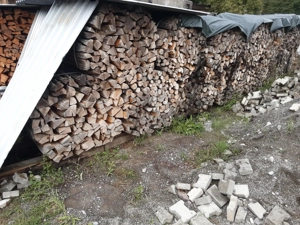 Ofentrockenes Brennholz Bild 3