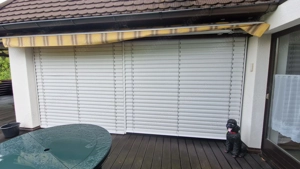 Jalousien, Raffstore 2 Stück  Bild 2