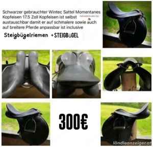 Wintec Vielseitigkeitssattel Cair Bild 7
