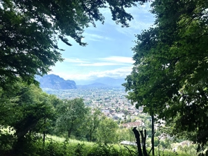 BILLIGes WG Zimmer temporär für hundefreundliche Studentin  Bild 5