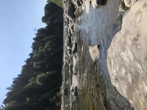 Wohnen auf Zeit! 2 Zi. 64qm  mit 20qm Garten  Bild 10