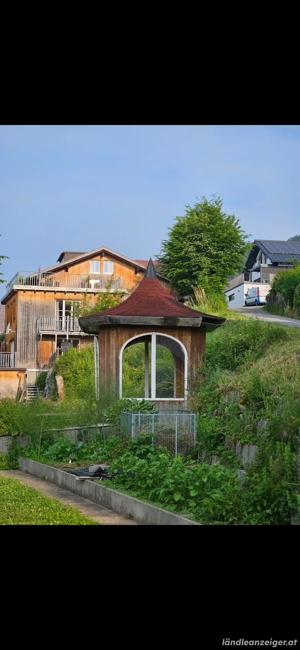 Holz Pavilion  Bild 4