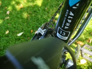 Propain Dreckspatz Kinder MTB Federgabel Bild 2