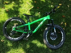 Propain Dreckspatz Kinder MTB Federgabel Bild 4