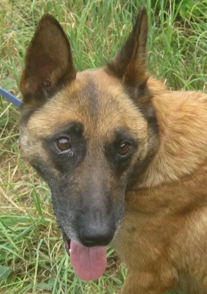 Kira sucht ihr Glück bei IHNEN Bild 3