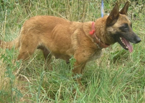 Kira sucht ihr Glück bei IHNEN Bild 2