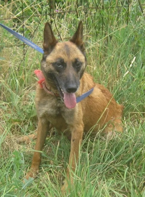 Kira sucht ihr Glück bei IHNEN Bild 5