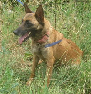 Kira sucht ihr Glück bei IHNEN Bild 6