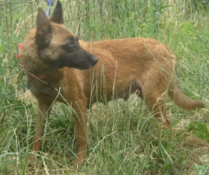 Kira sucht ihr Glück bei IHNEN Bild 4