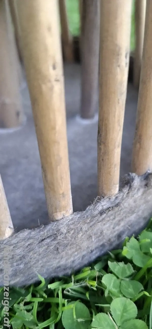 XXL Bambus Laterne Bild 6