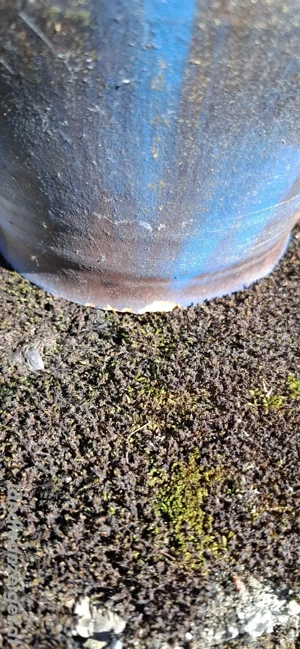 KERAMIK Vase Krug gross Bild 4