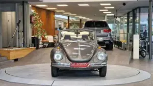 Volkswagen Käfer Bild 14