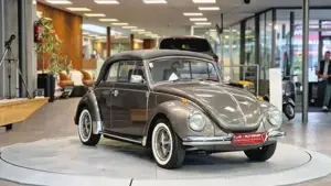 Volkswagen Käfer Bild 3