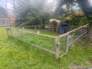 Gehege, Freilaufgehege Bild 2