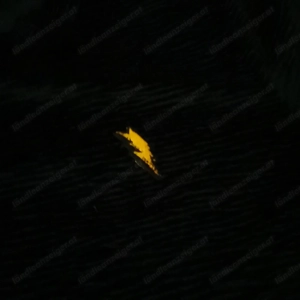 Cooler Pulli von Vingind Gr S Bild 3