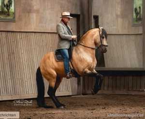 Akademische Reitkunst- Kurs mit Bent Branderup