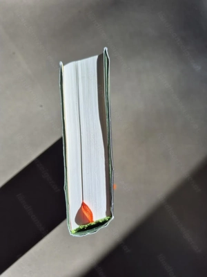 Buch, Roman, Der Gesang der Flusskrebse, gebunden Bild 2