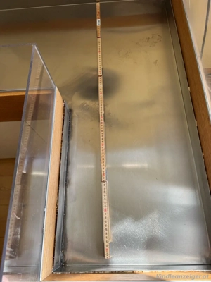 Grosses Terrarium Bild 3