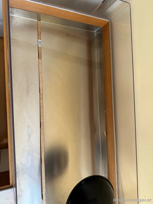 Grosses Terrarium Bild 4