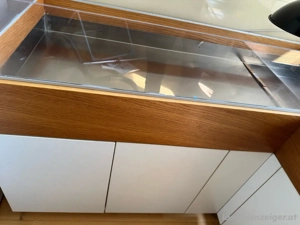 Grosses Terrarium Bild 2