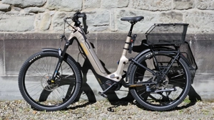 Ebike Tiefeinsteiger vollgefedert Viktoria Parcour 4 Wave