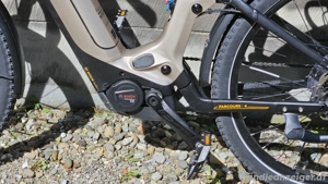 Ebike Tiefeinsteiger vollgefedert Victoria Parcour 4 Wave Bild 7