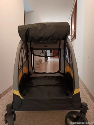 bingopaw hundebuggy kinderwagen Bild 4