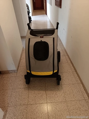bingopaw hundebuggy kinderwagen Bild 2