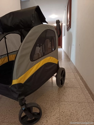bingopaw hundebuggy kinderwagen Bild 5