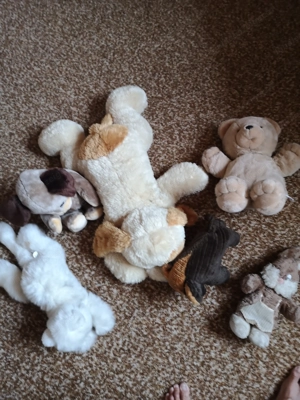 Verschiedene Plüschtiere  Bild 2