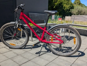Kinderfahrrad Specialized, Laufradgrösse 24 Zoll