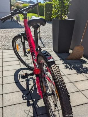 Kinderfahrrad Specialized, Laufradgrösse 24 Zoll Bild 2