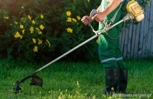 Gärtner Gartenarbeit alles rund um ihr Garten  Bild 2