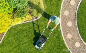 Gartenarbeit, Hilfe im Garten  Bild 2