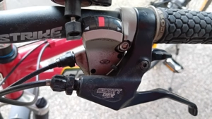 Mountain Bike Bild 2